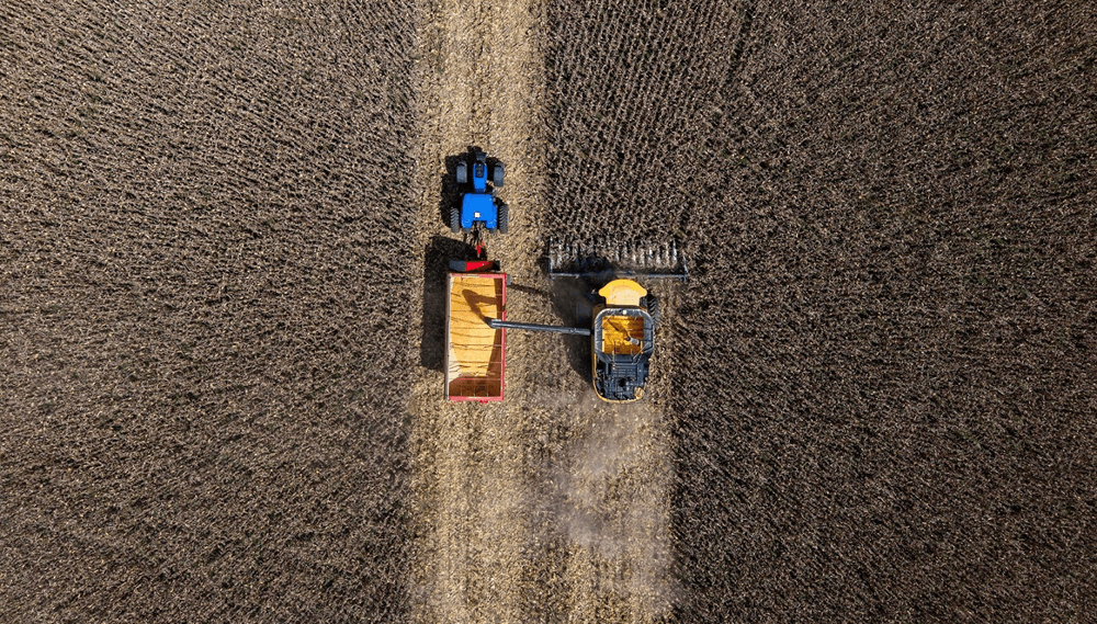 cosecha maiz drone