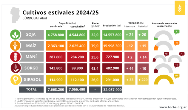 cultivos estivales bccba