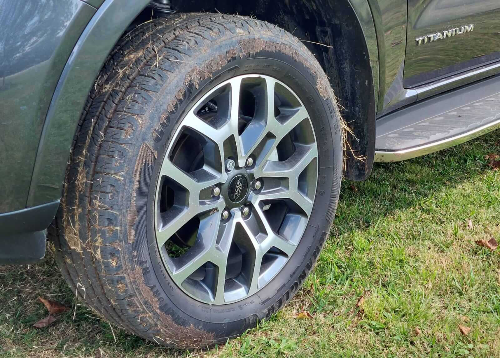 ford everest cubierta