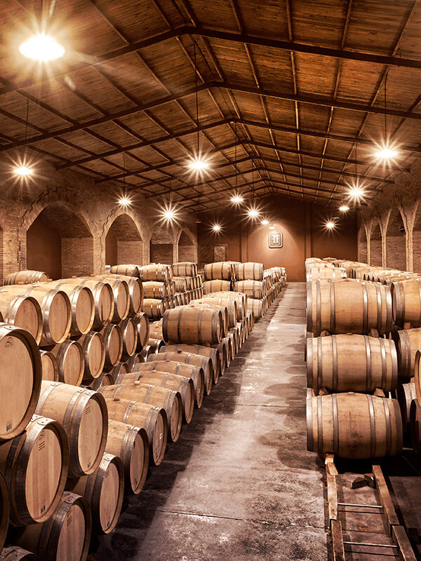 Finca Flichman