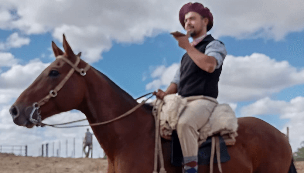 Gaucho a Caballo Imagen Real