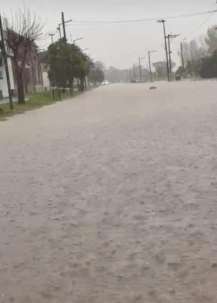 Lluvias de más de 300 mm: en la cuenca del río Arrecifes temen fuertes desbordes y piden estar alertas 2 ines indart inundado
