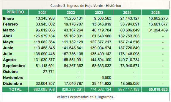 yerba mate ingreso hoja verde