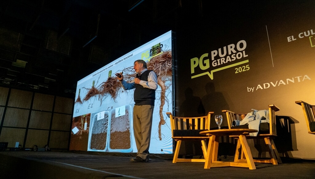 Advanta Congreso PURO GIRASOL A. Quiroga 2