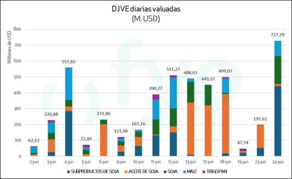 Grafico 1