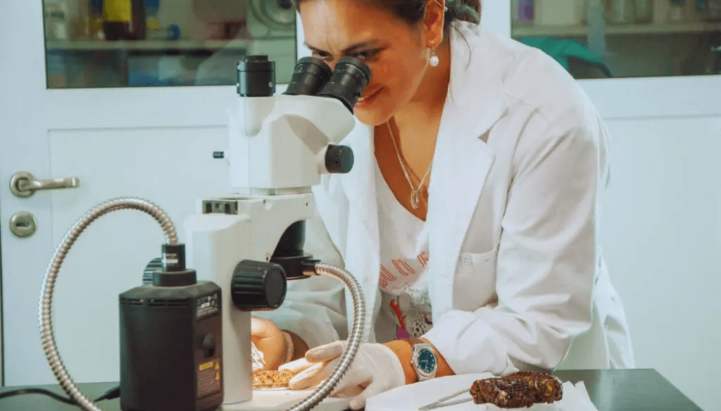 inta ciencia laboratorio