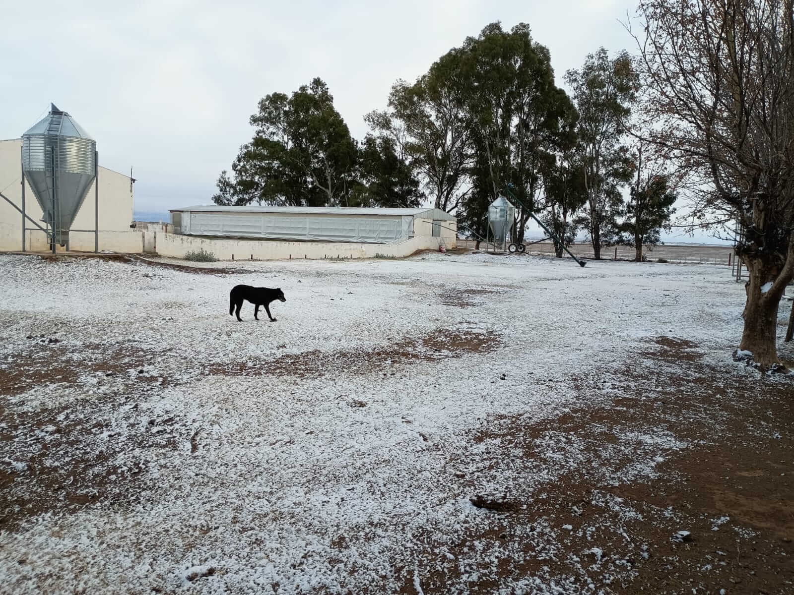 nevada campo la aguada 1