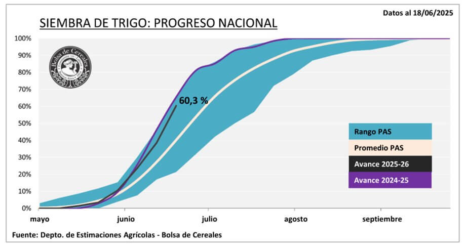 siembra trigo avance