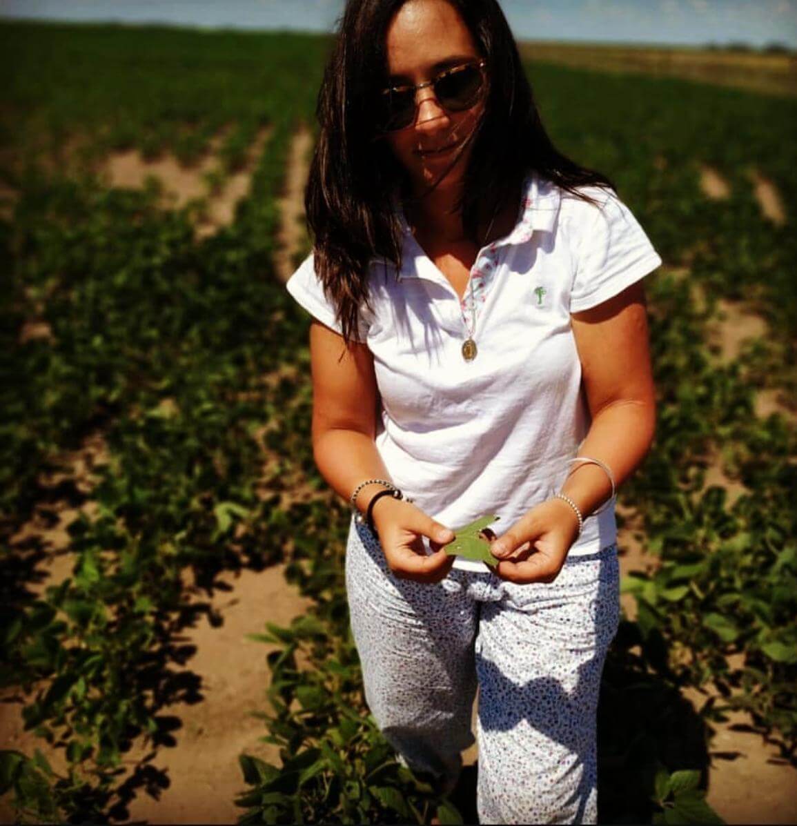 En el campo01 1
