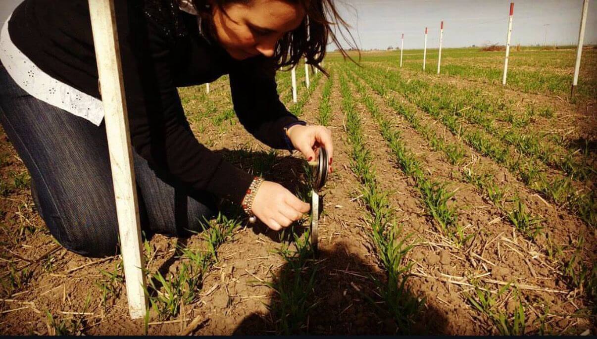 En el campo07