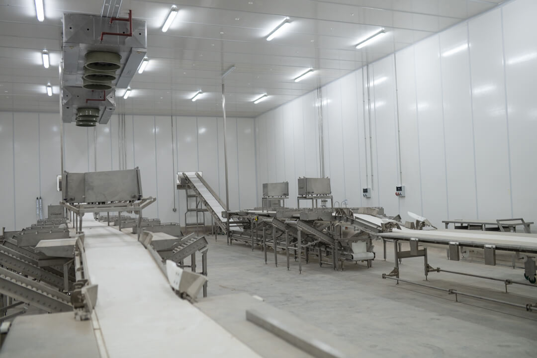 Generacion de productos 5