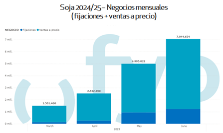 Grafico 1 1
