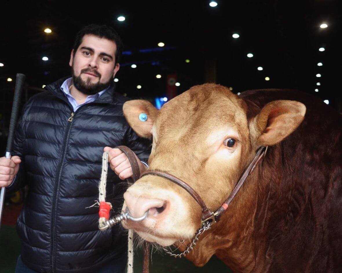 Limousin Argentina Juan Pablo Murguia Lattanti presidente AACL