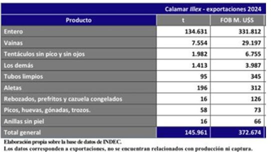 expos calamar