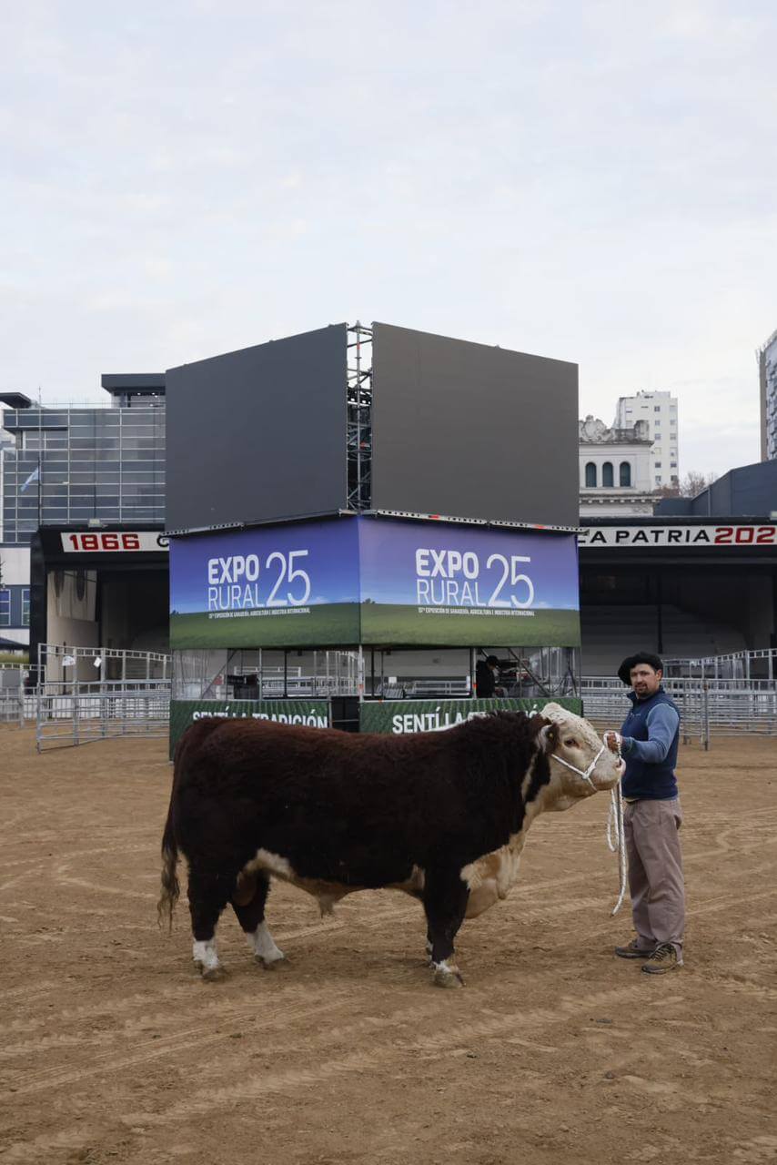toro hereford la rural