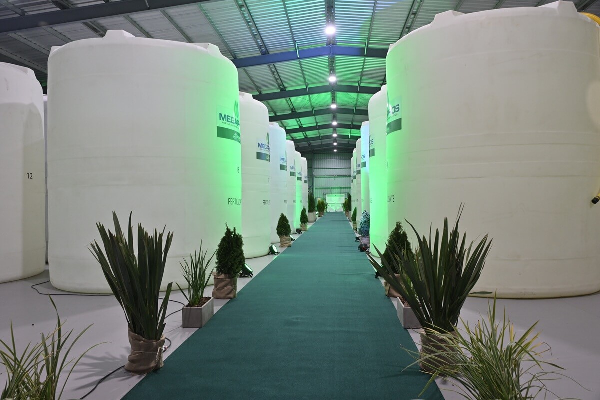 Planta interior