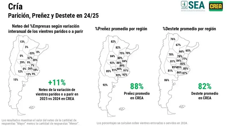 cria destete crea
