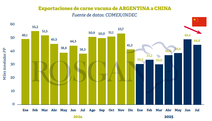 exportaciones carne vacuna argentina china