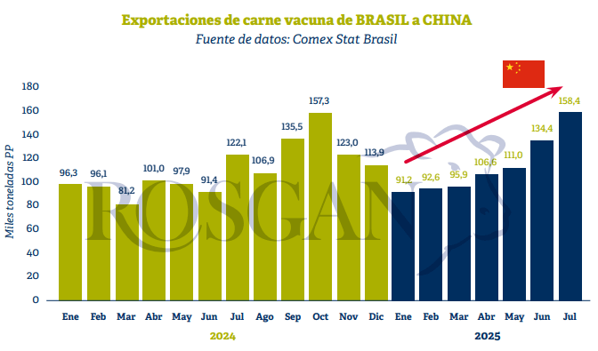 exportaciones carne vacuna brasil china