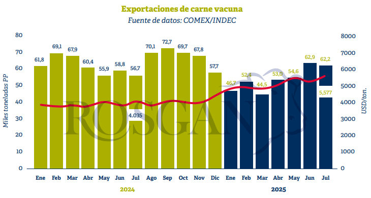 exportaciones carne vacuna rosgan