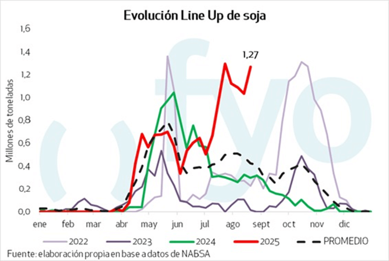 grafico 3 1