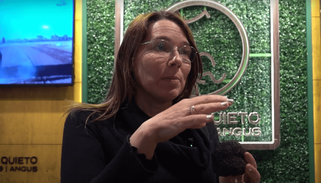 luz cocina romero