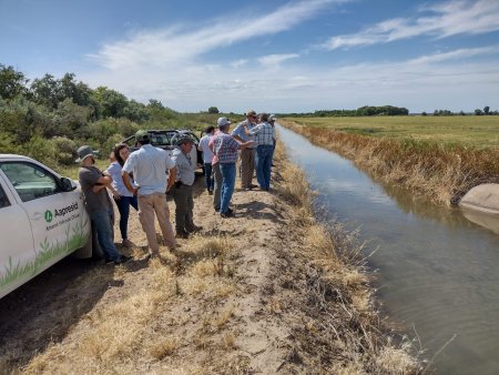 “Es como el Corn Belt americano”: con la fuerza del riego, la Patagonia va por su propio clúster de maíz 11 Aapresid riego vinpa