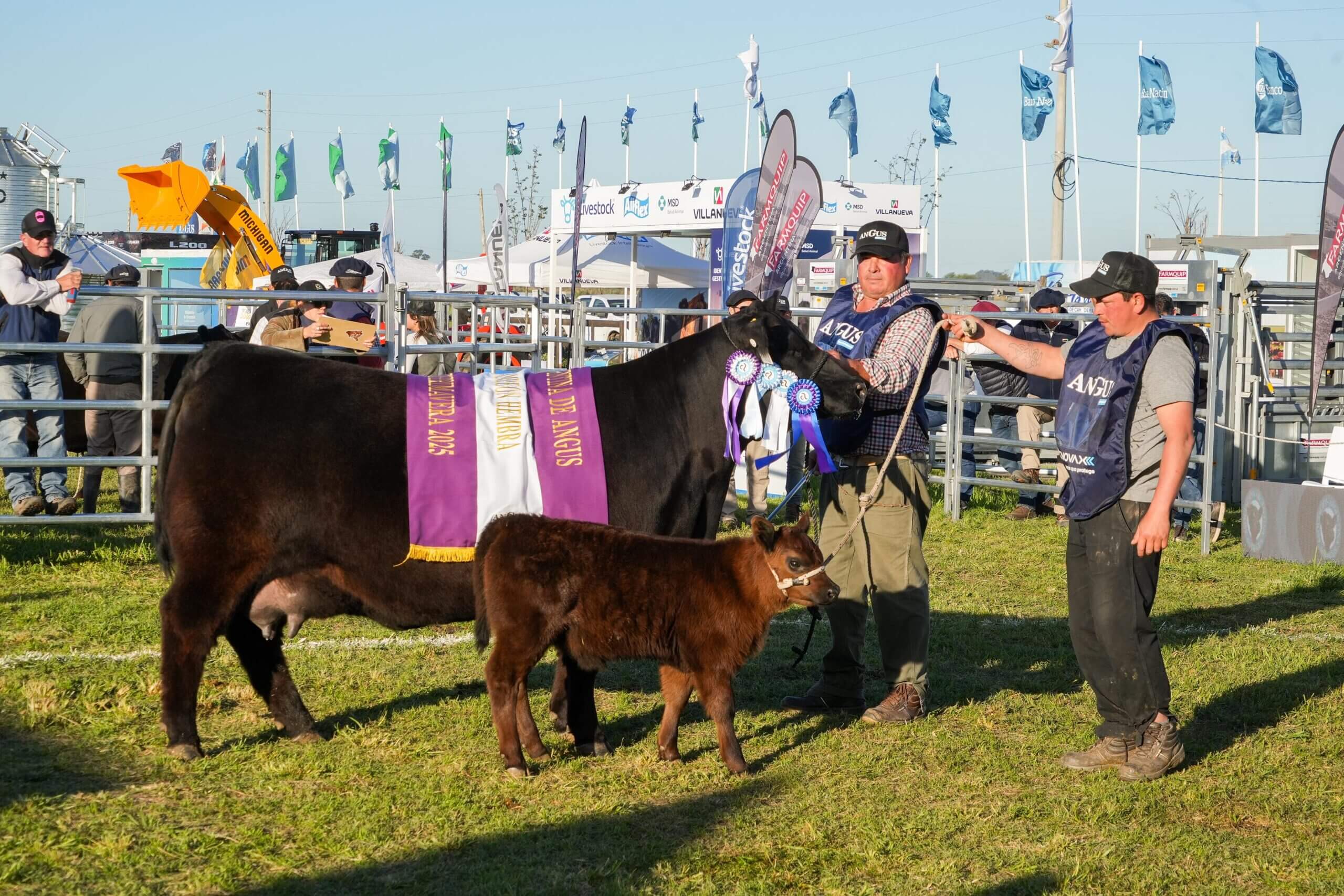 Descarga la foto del Reservado Gran Campeon Hembra