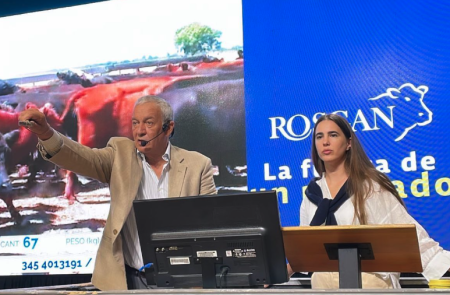 JOSEFINA en remate09 rosgan