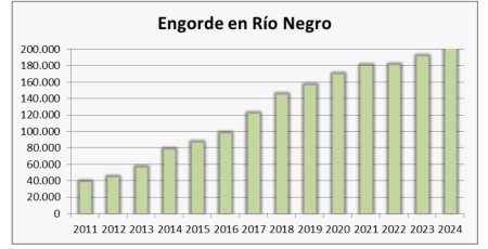 “Es como el Corn Belt americano”: con la fuerza del riego, la Patagonia va por su propio clúster de maíz 6 Riego rio negro 13