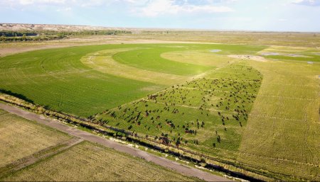 “Es como el Corn Belt americano”: con la fuerza del riego, la Patagonia va por su propio clúster de maíz 9 Riego rio negro 3 scaled e1758068355482