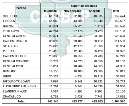 Sin titulo 1