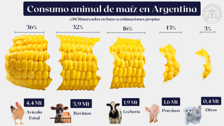 consumo maiz 1 0