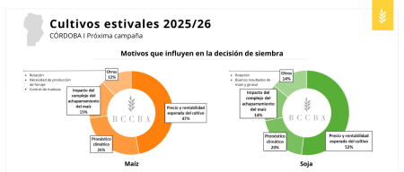 diagrama el contenido generado por ia puede ser i