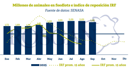 feedlots rosgan inundaciones