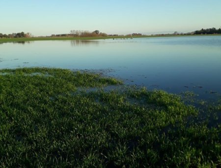 foto inundacion