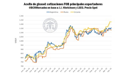 girasol bcr