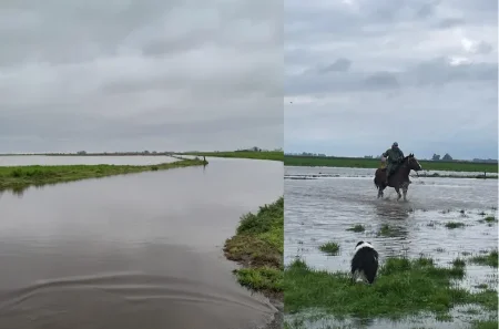 inundaciones4