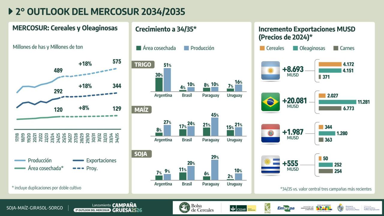 outlook mercosur