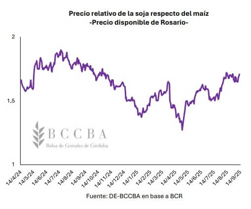 precio