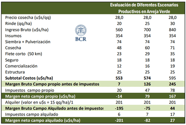 BCR arveja 1
