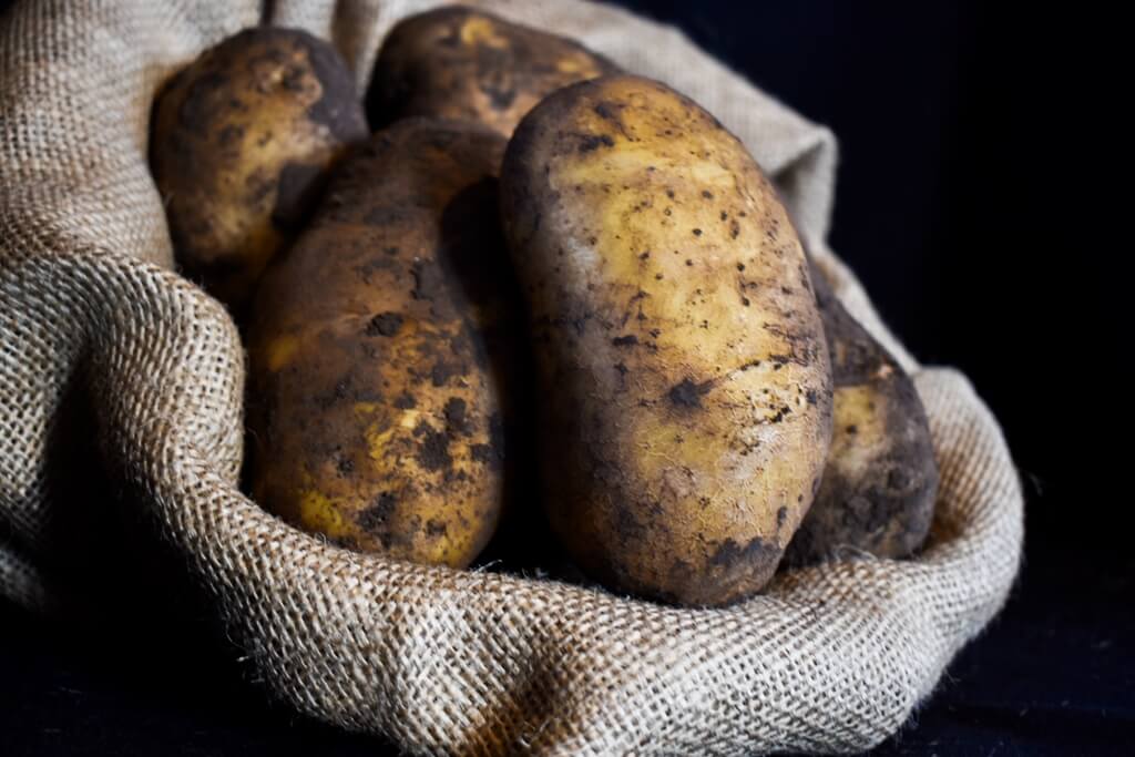 McCain Foods en alianza estrategica con Arcos Dorados anuncia los resultados de su primer Desafio de Agricultura Regenerativa dirigido a productores de papa del pais Credito Potato Growers
