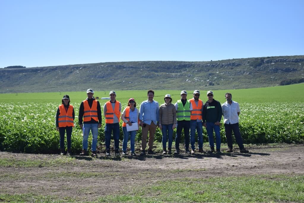 Potato Growers ganador del 1 Puesto del Desafio