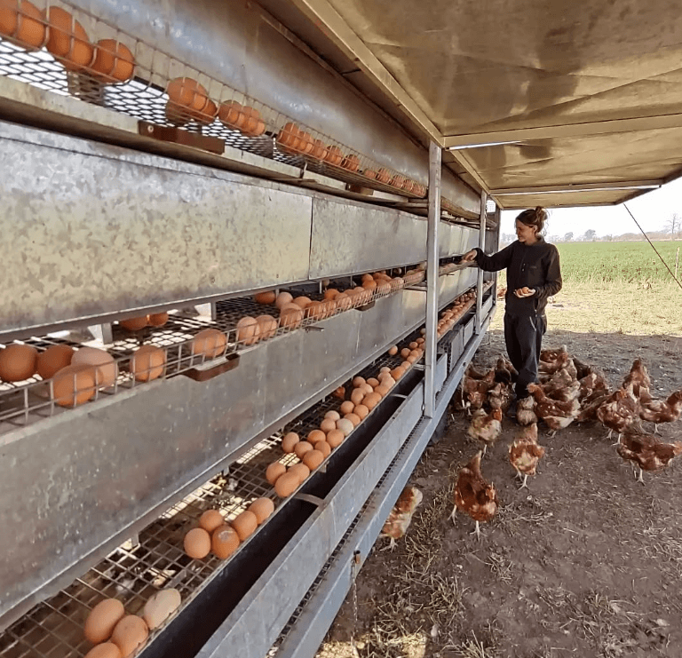 Priscila en el gallinero01