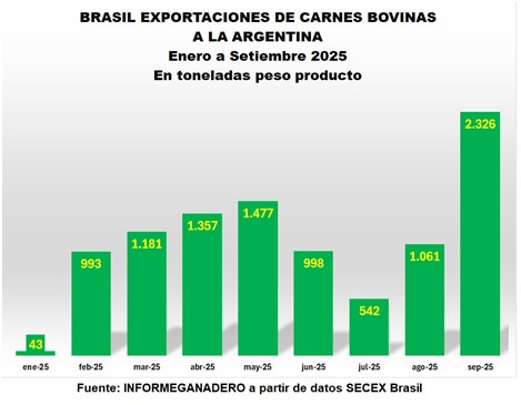 brasil
