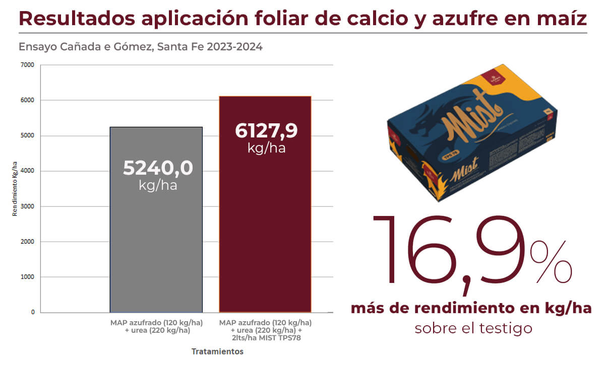 cuadro maiz