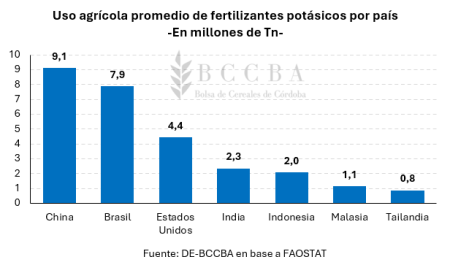 grafico grafico de barras el contenido generado 16