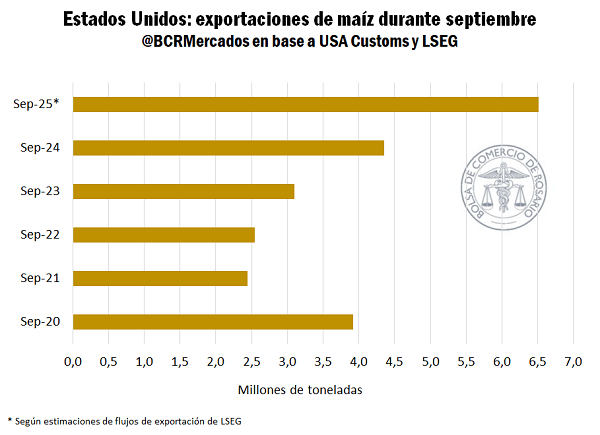 imagen3