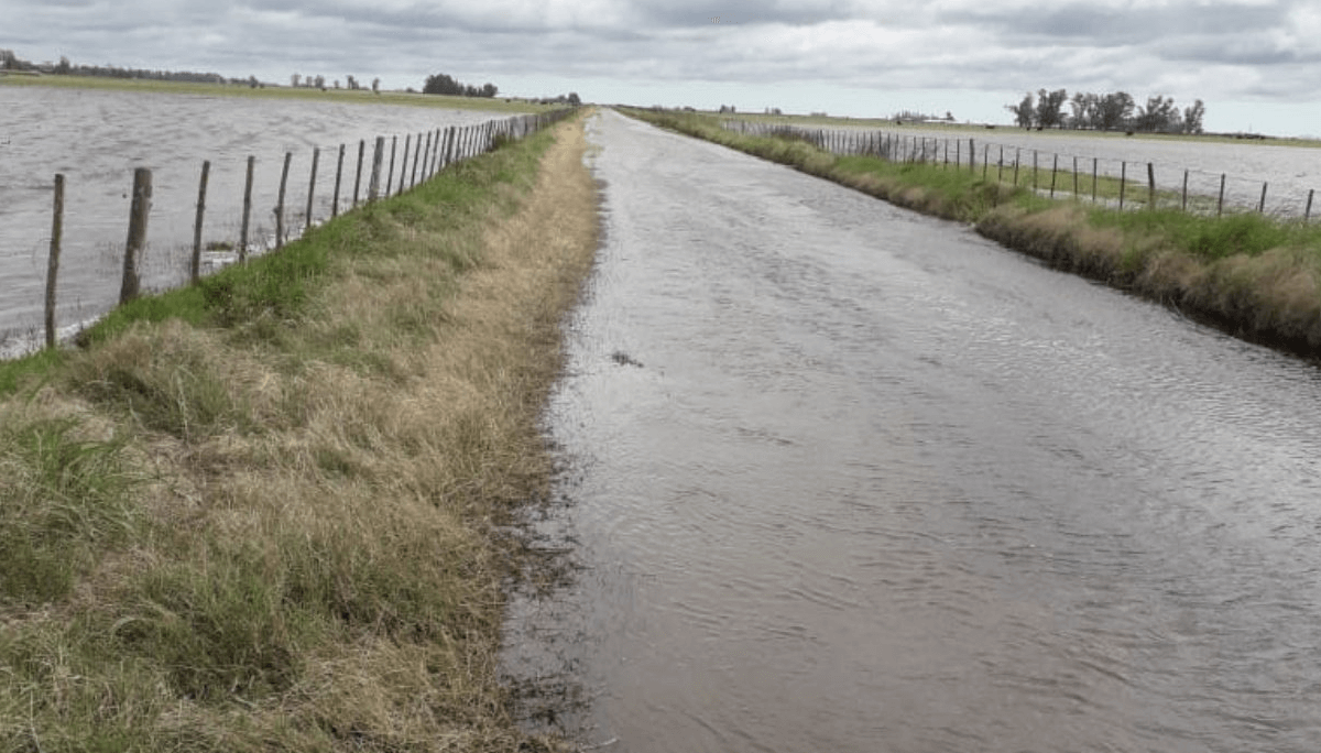 “Una señal contundente”: el campo celebra los fallos de la Justicia contra el cobro de la tasa vial 1 inundacion campo y camino rural