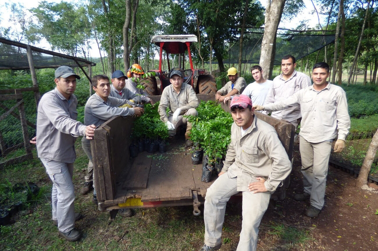 misioneros bosques nativos